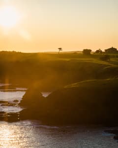Aerial Image of FLINDERS