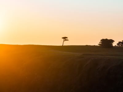 Aerial Image of FLINDERS
