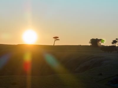 Aerial Image of FLINDERS