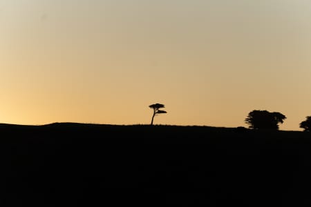 Aerial Image of FLINDERS