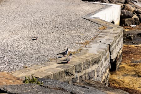 Aerial Image of WILLIAMSTOWN