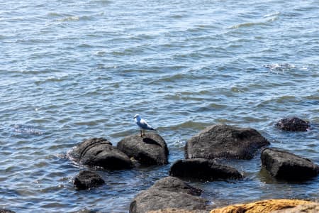 Aerial Image of WILLIAMSTOWN