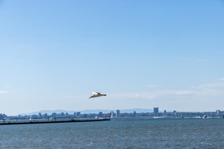 Aerial Image of WILLIAMSTOWN