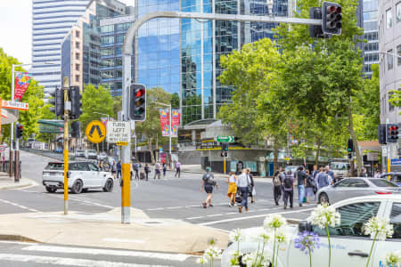 Aerial Image of NORTH SYDNEY