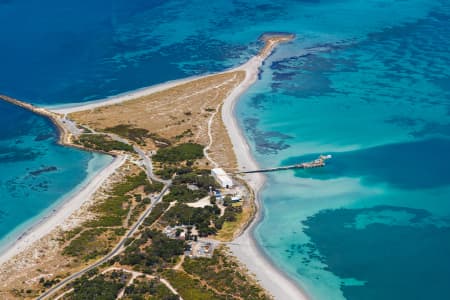 Aerial Image of Coogee