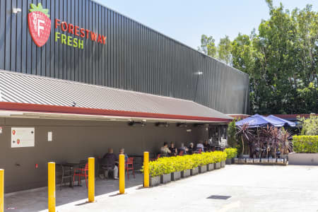 Aerial Image of TERREY HILLS