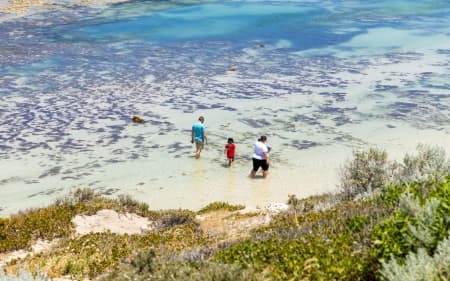 Aerial Image of YANCHEP