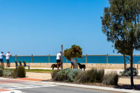 Aerial Image of YANCHEP