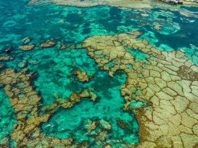 Aerial Image of ROTTNEST ISLAND
