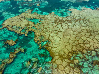 Aerial Image of ROTTNEST ISLAND