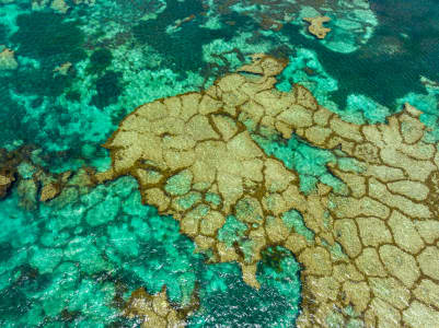 Aerial Image of ROTTNEST ISLAND