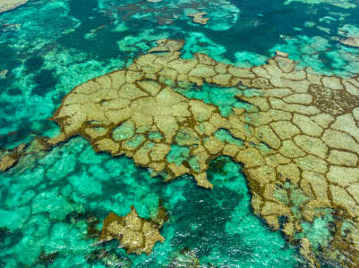 Aerial Image of ROTTNEST ISLAND