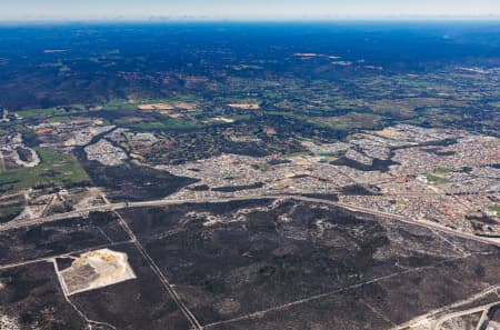 Aerial Image of MELALEUCA