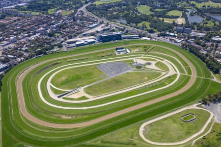 Aerial Image of RANDWICK