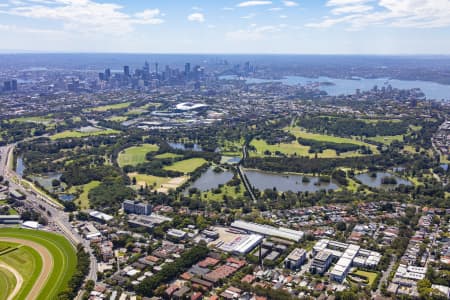 Aerial Image of RANDWICK