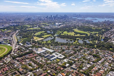 Aerial Image of RANDWICK