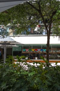 Aerial Image of SYDNEY