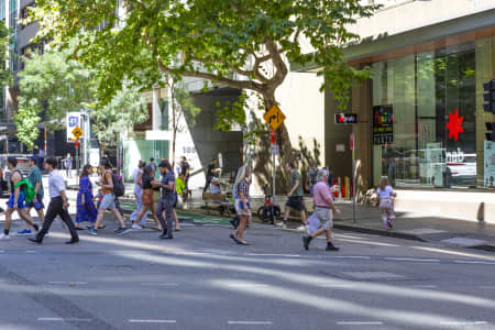 Aerial Image of SYDNEY