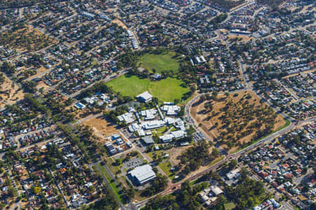 Aerial Image of ORELIA