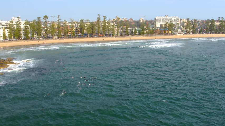 Aerial Image of MANLY TO SHELLY BEACH SWIMMERS