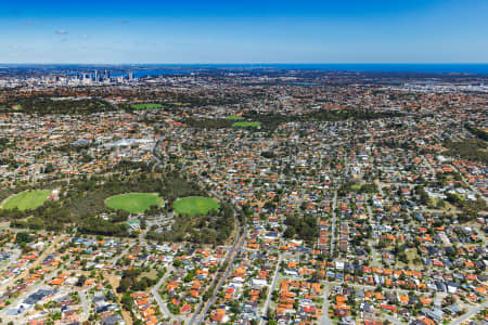 Aerial Image of DIANELLA