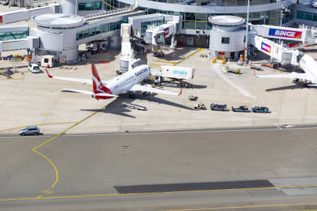 Aerial Image of QANTAS JET SYDNEY AIRPORT