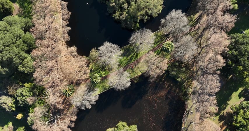 Aerial Image of PERTH