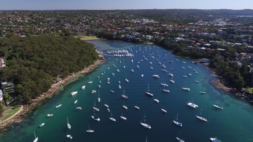 Aerial Image of BALGOWLAH