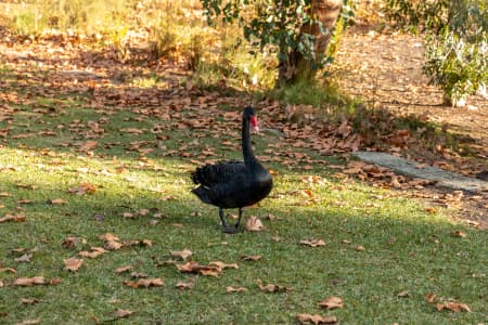 Aerial Image of PERTH