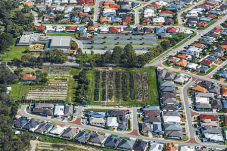 Aerial Image of WATTLE GROVE