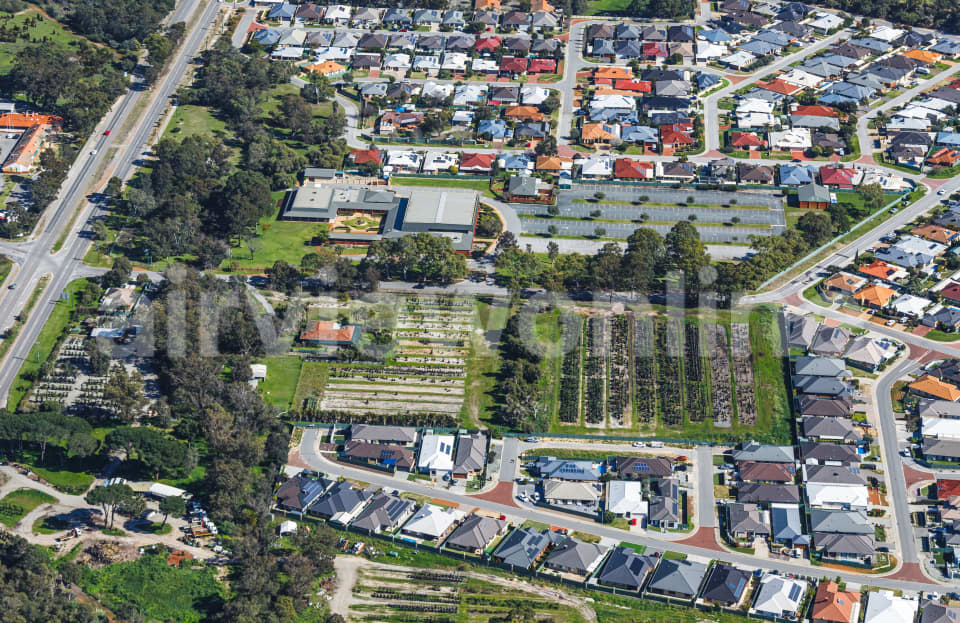 Aerial Image of Wattle Grove