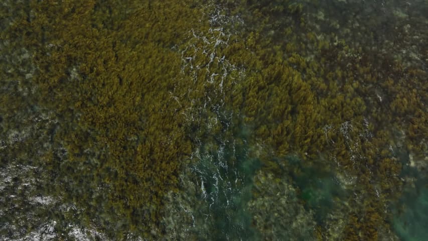 Aerial Image of 20221207-0004.MP4