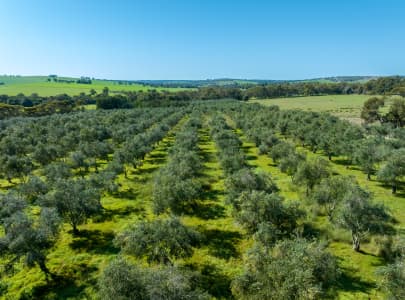 Aerial Image of GINGIN