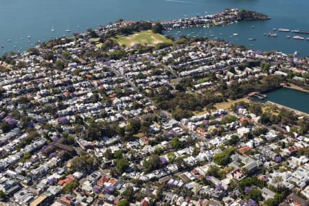 Aerial Image of BIRCHGROVE