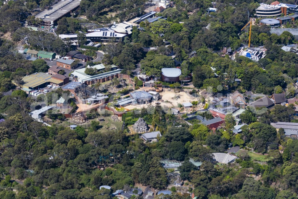 Aerial Image of Mosman
