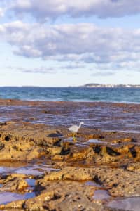 Aerial Image of WOLLONGONG