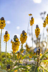 Aerial Image of WOLLONGONG