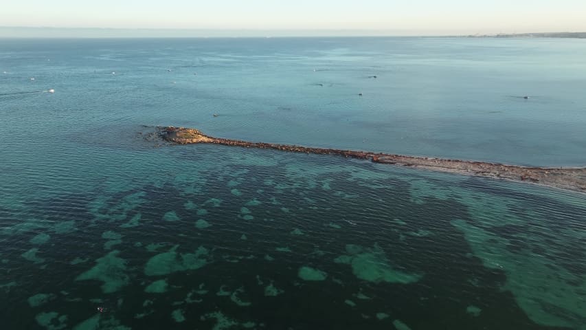 Aerial Image of COOGEE