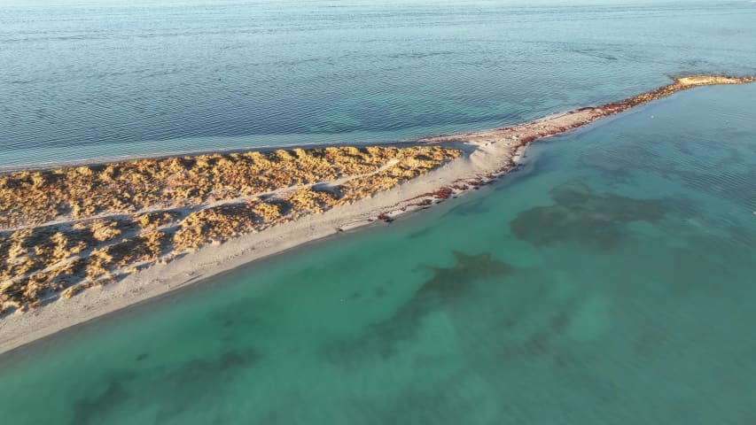 Aerial Image of COOGEE