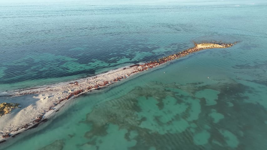 Aerial Image of COOGEE