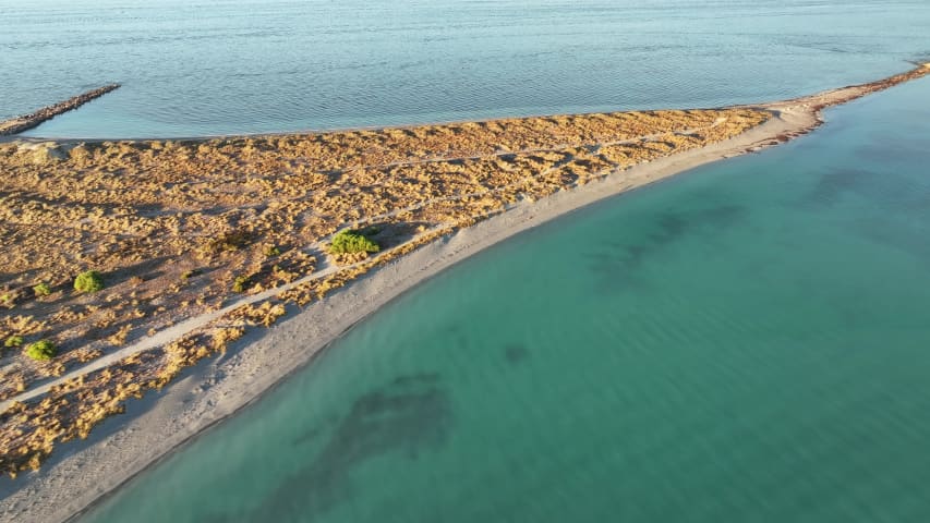 Aerial Image of COOGEE