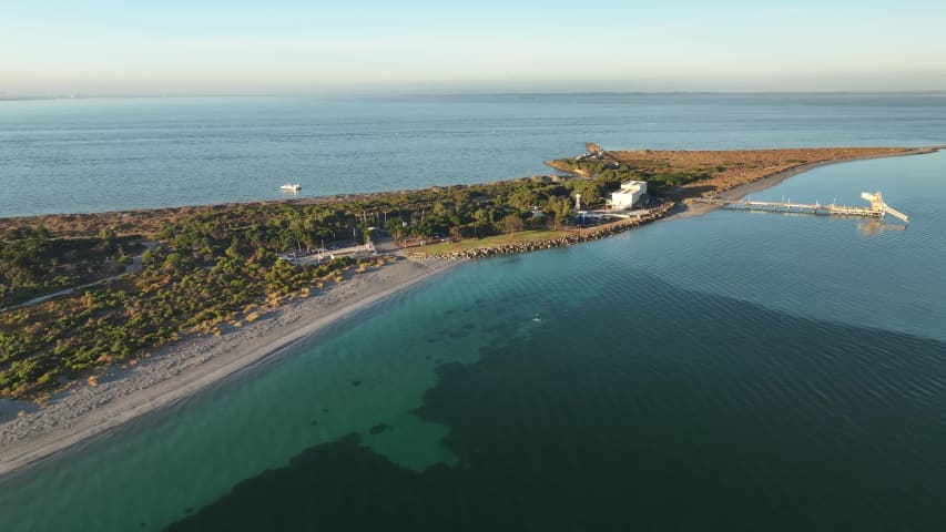 Aerial Image of COOGEE