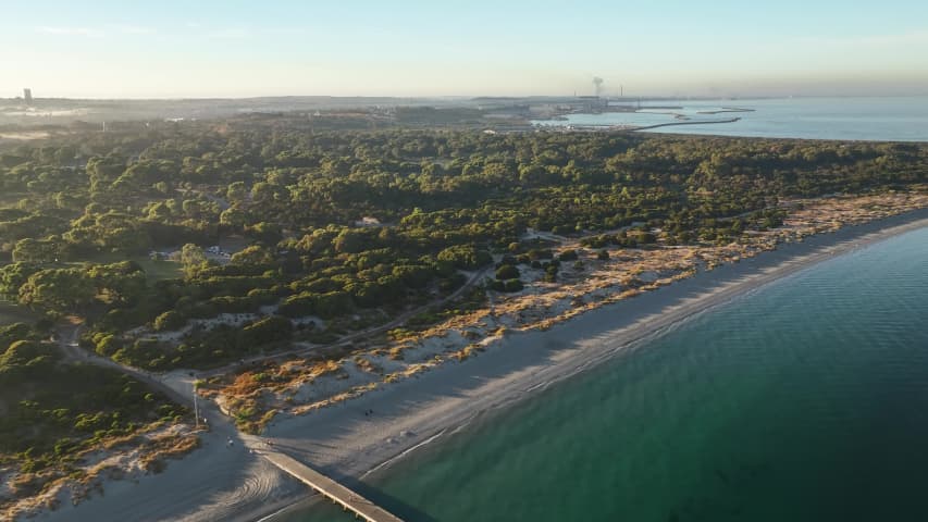 Aerial Image of COOGEE