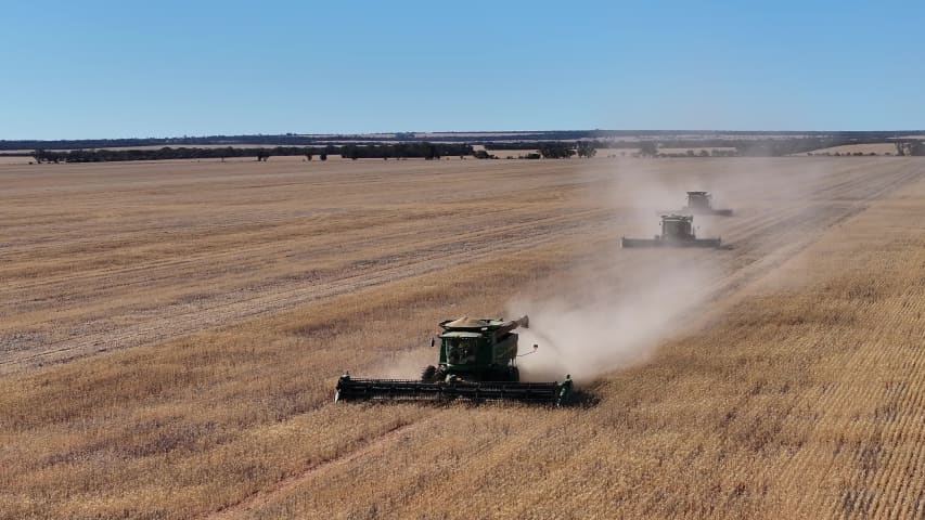 Aerial Image of MERREDIN