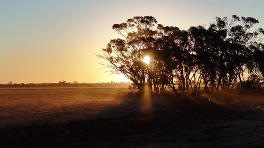 Aerial Image of MERREDIN