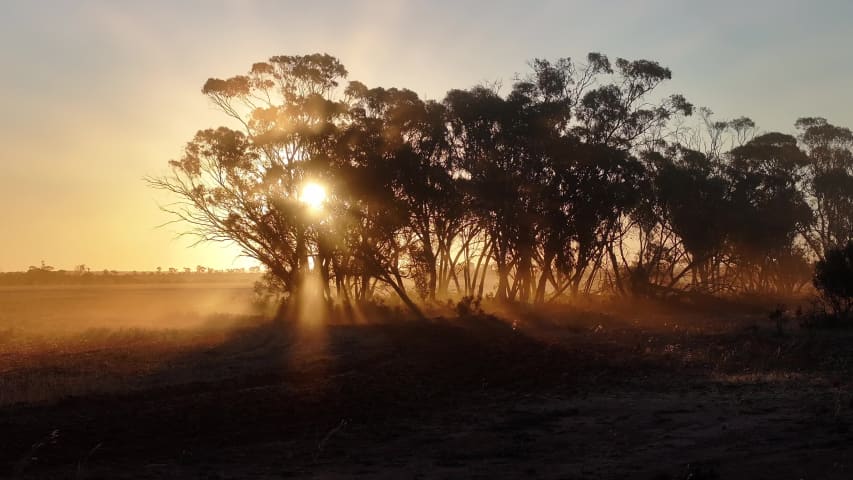 Aerial Image of MERREDIN