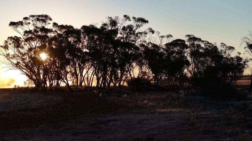 Aerial Image of MERREDIN