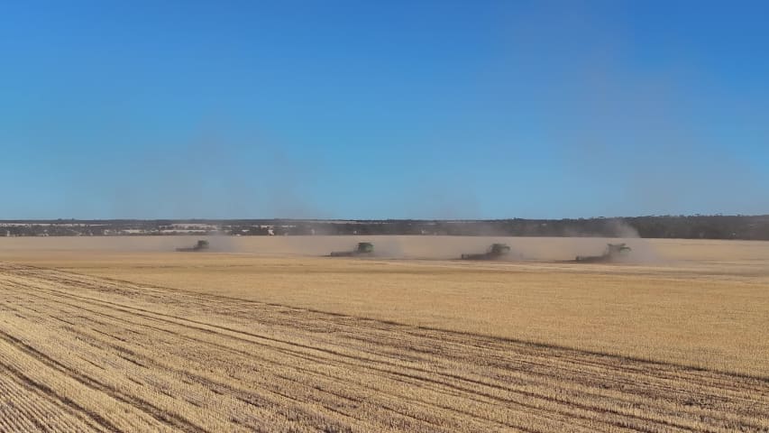 Aerial Image of MERREDIN