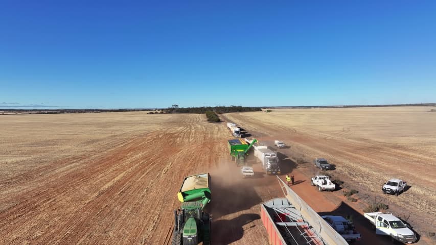 Aerial Image of MERREDIN