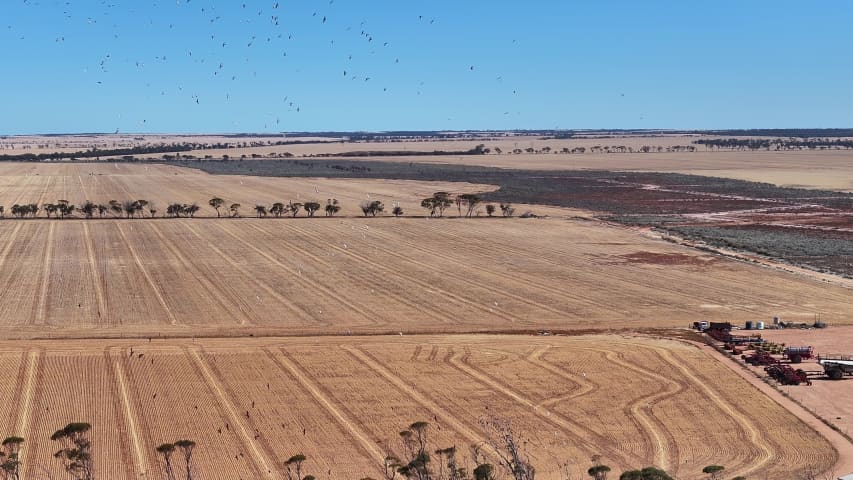 Aerial Image of MERREDIN